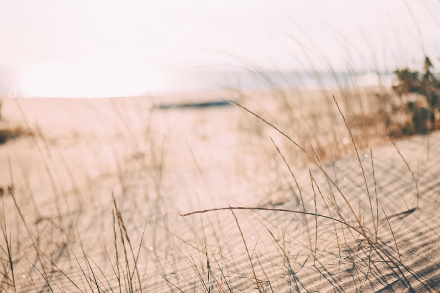 Photo by Mourad Saadi on Unsplash