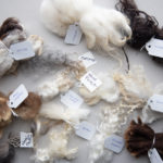 Spinning Sheep Breeds with Rachel Smith