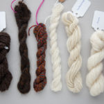 Spinning Sheep Breeds with Rachel Smith