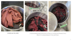 Dyeing with Lac natural dyes