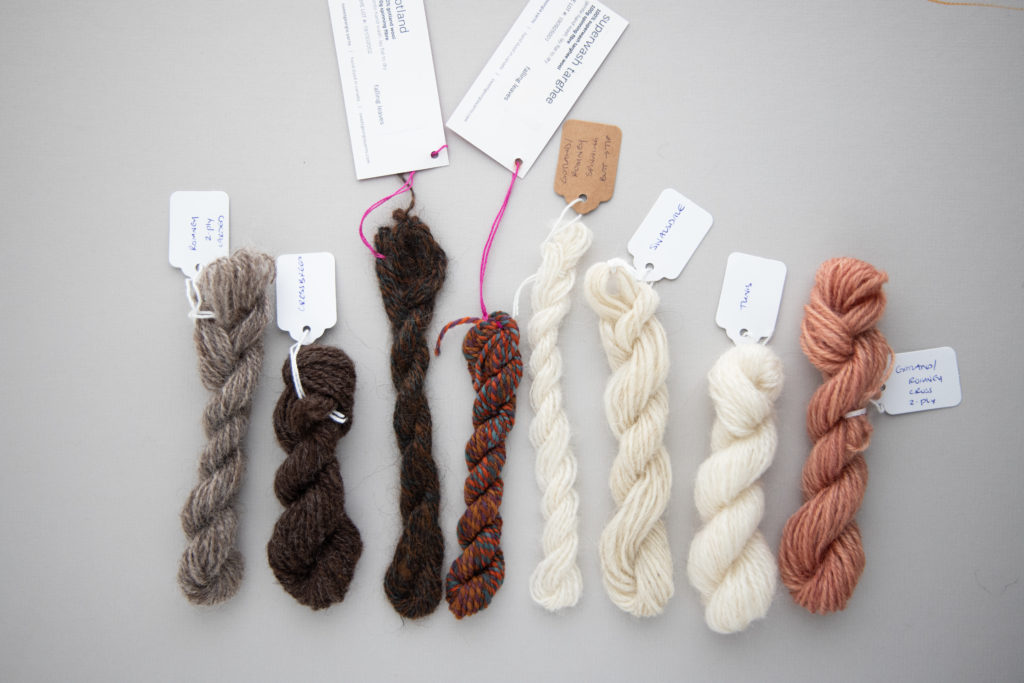 sheep breed samples smith