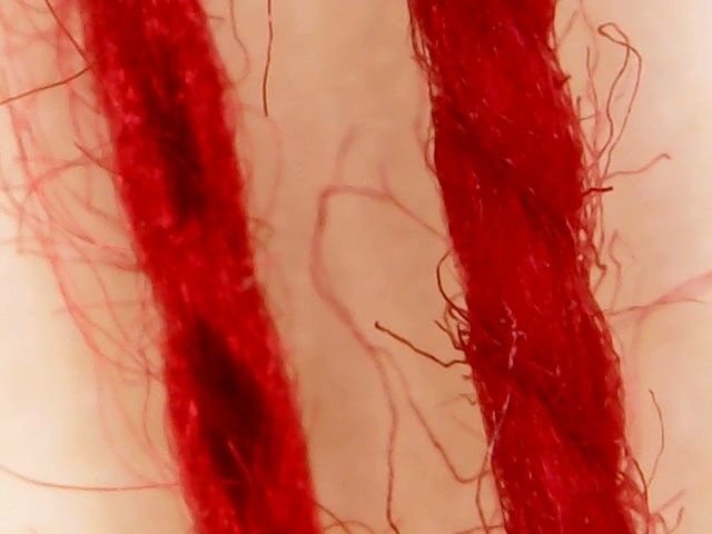 Tencel and cotton yarns