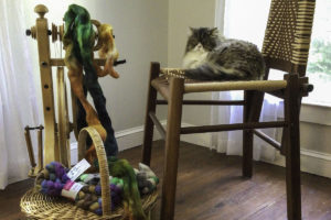 photo 01 - School of SweetGeorgia Spinning wheel, fibers, and kitty cat